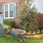 Alexandria Virginia Spring Landscape Cleanups