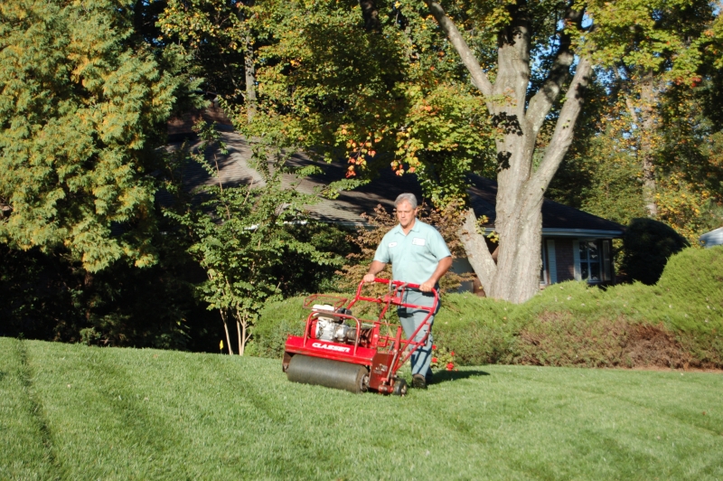 Northern Virginia Lawn Mowing & Edging Services