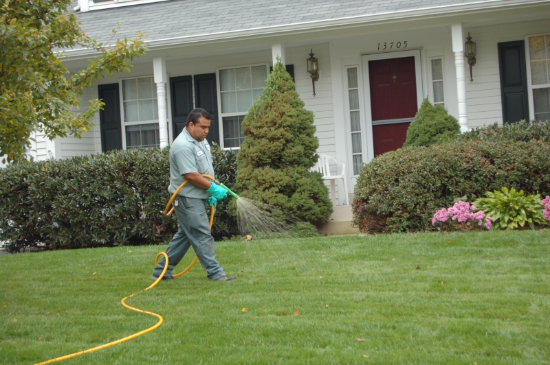 Northern Virginia Lawn Seeding & Fertilization Services