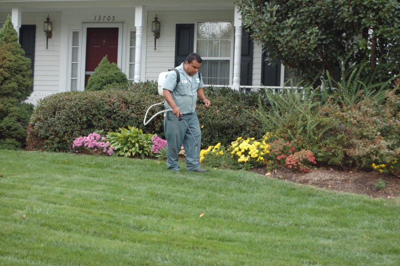 Northern Virginia Mosquito Control Services