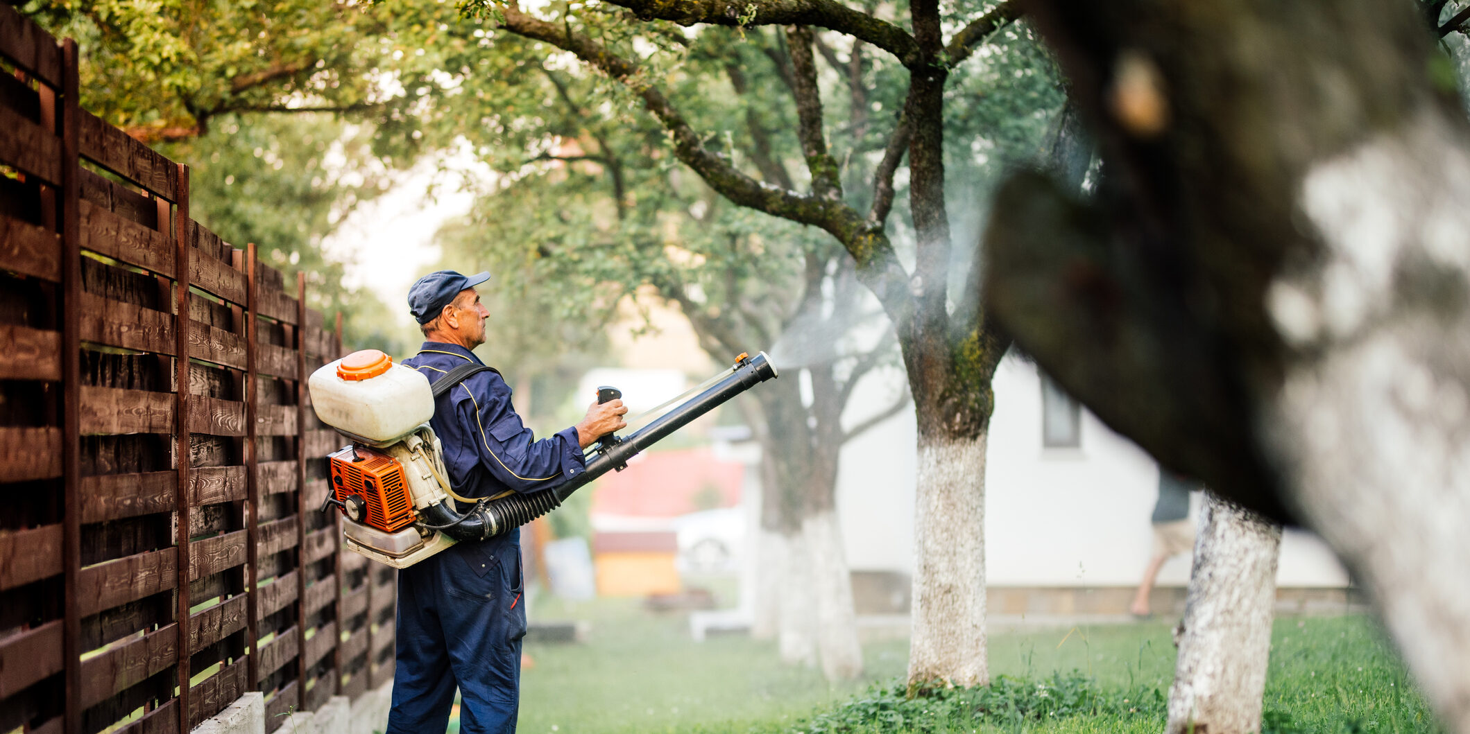 Fairfax VA Mosquito Control Companies Complete Lawn Service
