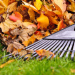 Fall Cleanup Services in NoVA