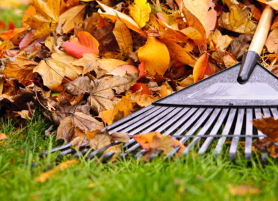 Landscaping Company For Fall Cleanups