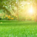 Fall Landscaping & Cleanup Services in Northern Virginia