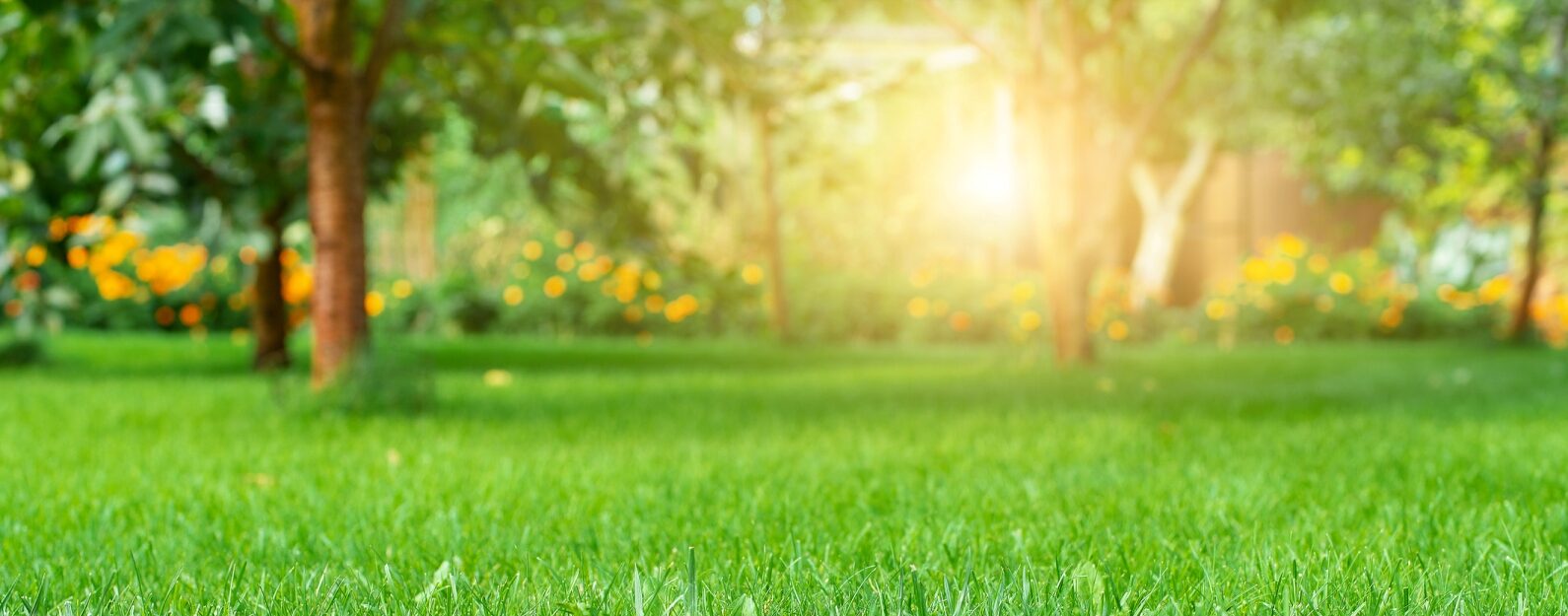 Fall Landscaping & Cleanup Services in Northern Virginia