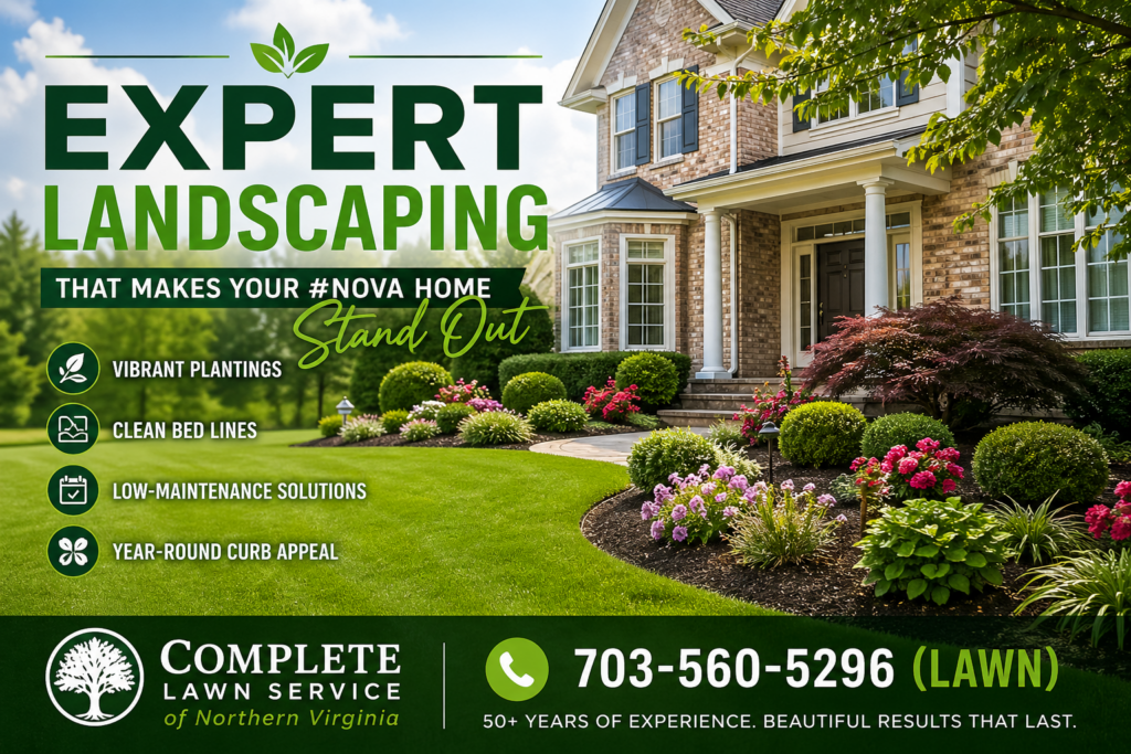 Expert Landscaping Services in Northern Virginia
